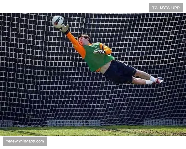圣何塞地震门将扑救表现 反应速度成为后防保障 圣何塞地震门将扑救表现 反应速度成为后防保障